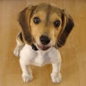 Meet your Posher, Mandy